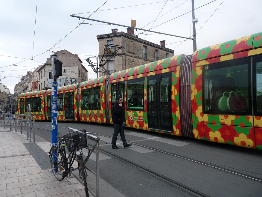 TRAM..TRAM !! :MONTPELLIER LA MO(U)SSON NETTOIT UN GYM-NICOIS ETEINT ... - Page 3 795297P1040192