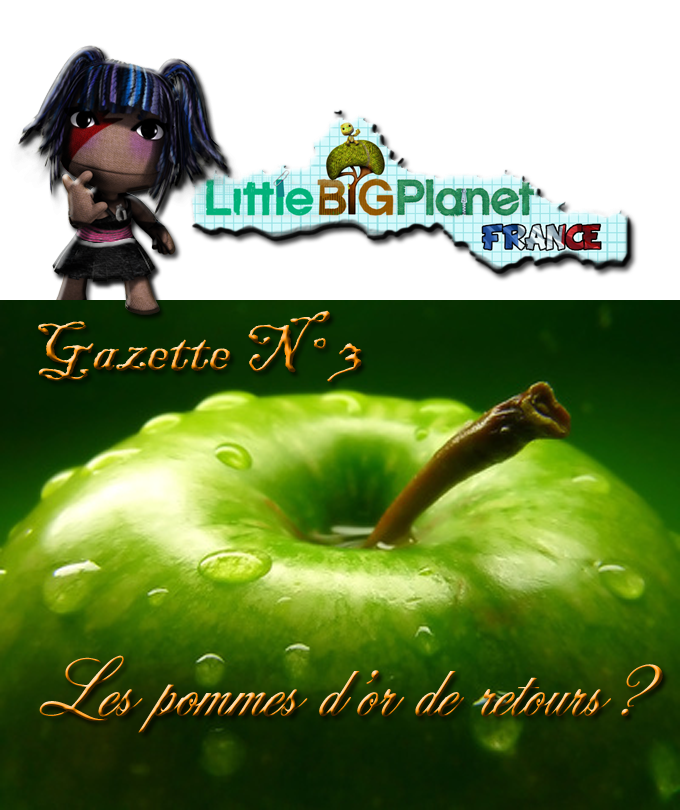 LittleBigGazette #3 - Février 2010 821820Page_gazette_3_couverture