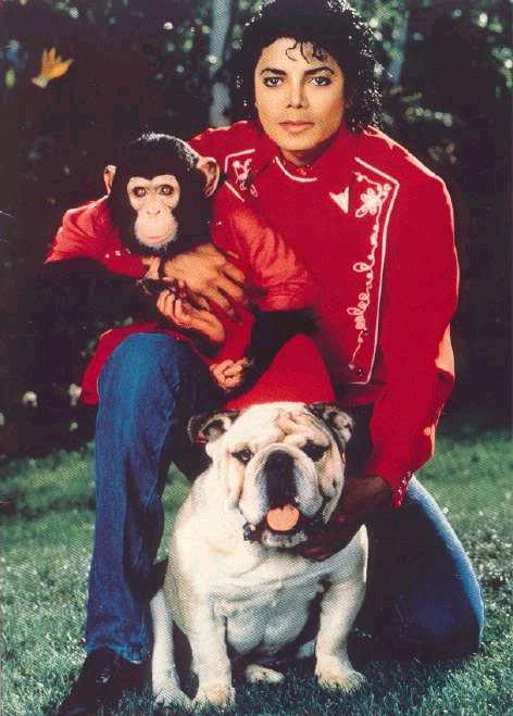 Photos de Michael Jackson avec des animaux (et vidéo de son singe Bubbles) 842554with_bubbles_03