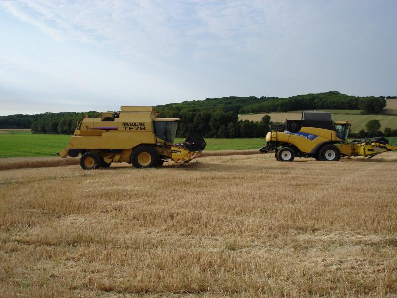 harvest in "baie de somme "  851182DSC01908