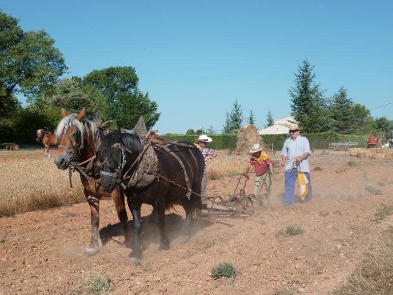 12 ème fête de la Terre à St-SATURNIN LES APT 875334Labour_7