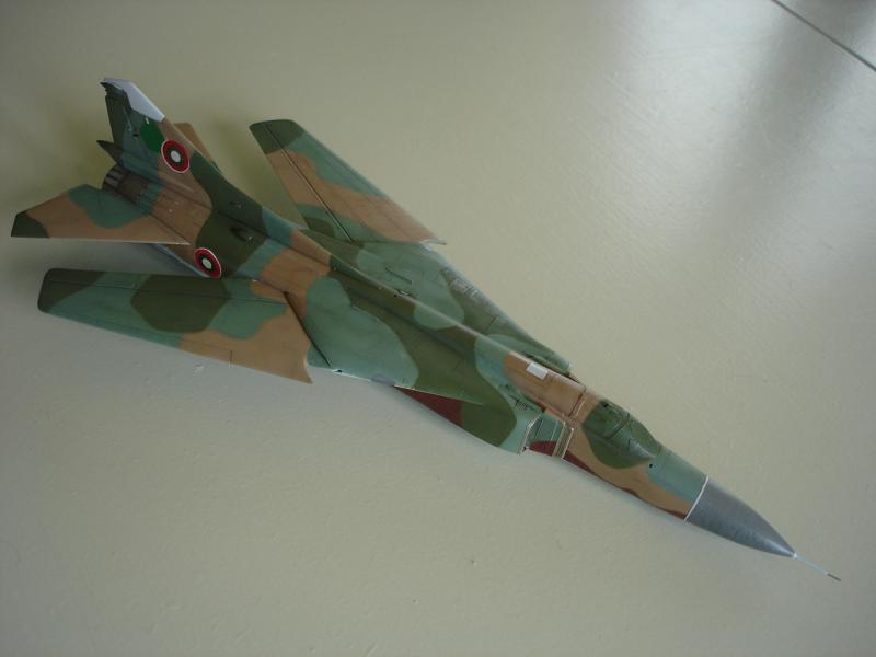 [Hasegawa] MiG23 MF "Flogger-B" 1/72 - Page 7 902658DSC06315