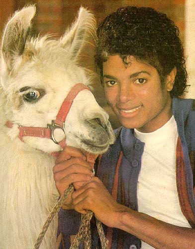 Photos de Michael Jackson avec des animaux (et vidéo de son singe Bubbles) 905680michael_camel