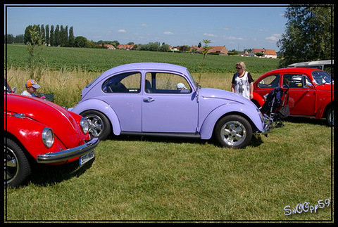 Meeting cox à Haverskerque  907422IMGP3302_border