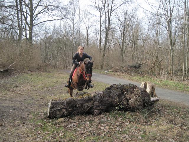 balade des arcades - Milly la Forêt 922603IMG_0465_1_