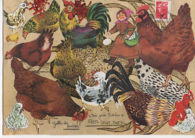 Galerie des Poules 935735mailart_010