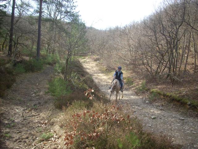 Balade après la tempête 947786DSCN0784