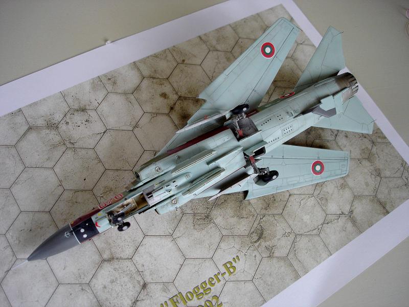 [Hasegawa] MiG23 MF "Flogger-B" 1/72 - Page 8 950485DSC06359