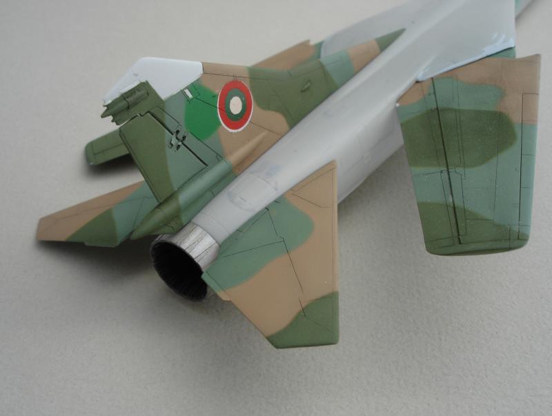 [Hasegawa] MiG23 MF "Flogger-B" 1/72 - Page 5 96933DSC05855