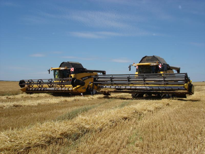 harvest in "baie de somme "  998235DSC01895