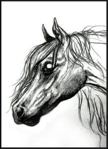 Divers dessins Mini_105736shadowfax_head