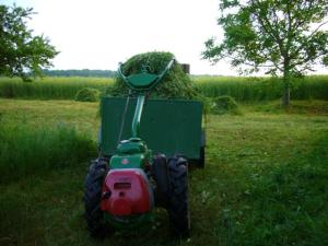 holder - Pour les holder (en allemand désolé) Mini_365117Herbe___1700_2010