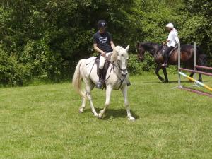 "rencontre autour du cheval" Lorraine Mini_503302IMGP0019