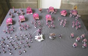 mon armée de slaanesh 3500 pts terminée Mini_572861armee_entiere