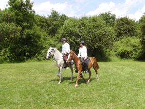 "rencontre autour du cheval" Lorraine Mini_793645IMGP0014