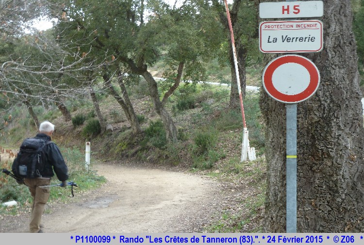 24 Février 2015 - Rando "les crêtes de Tanneron (83)"  111332P1100099