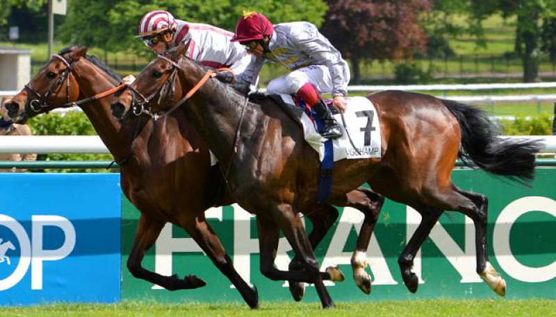 Prix Ganay 2014 (Gr. I, Longchamp) 27-04 : Cirrus des Aigles (+photos) 115691220001PP