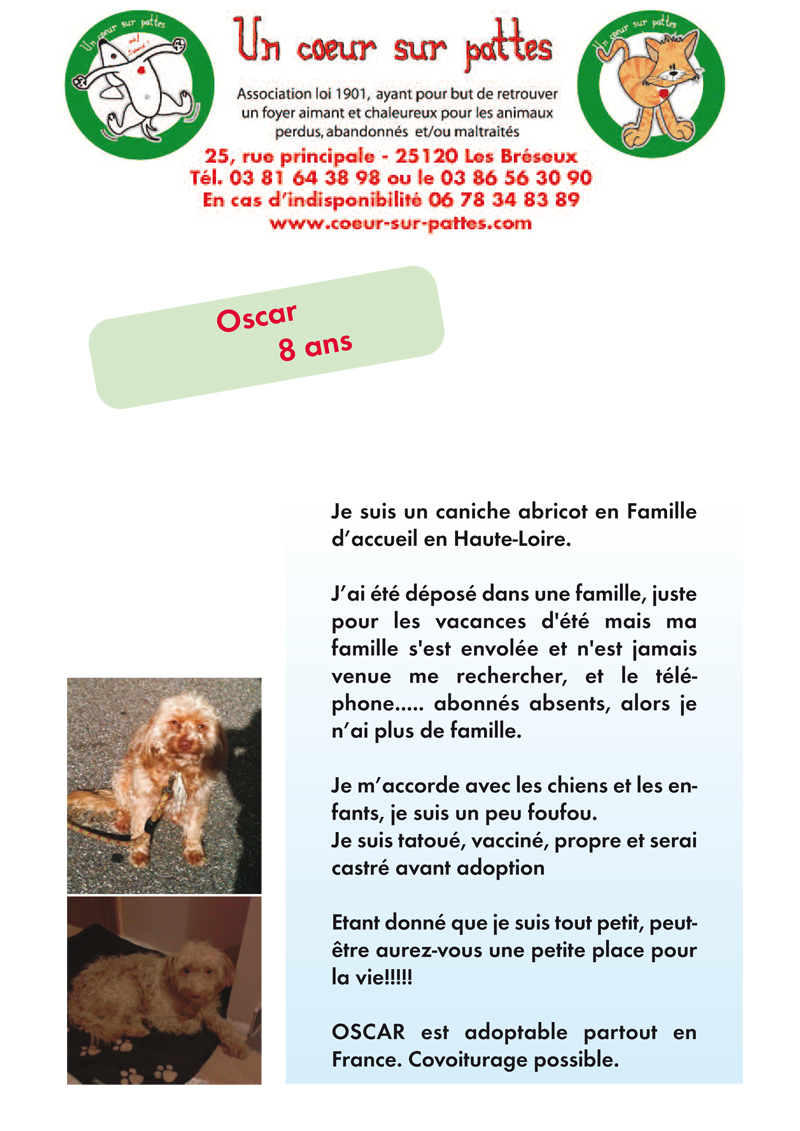 OSCAR CANICHE NAIN 8 ans  COEUR SUR PATTES 116882affiche8