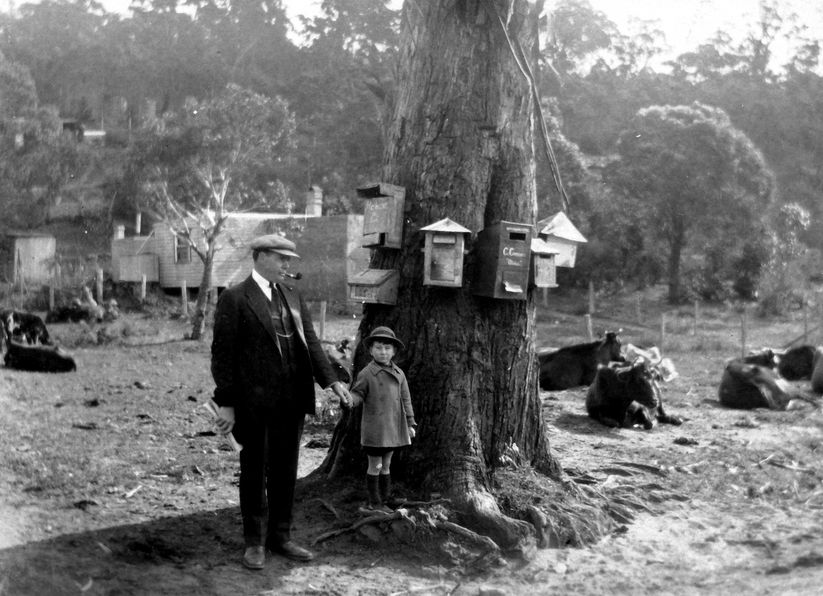 Les années 20 à 70 : photos et vidéos d'époque (partie 2) - Page 19 11824319228002213099e7fc0a3b3eb