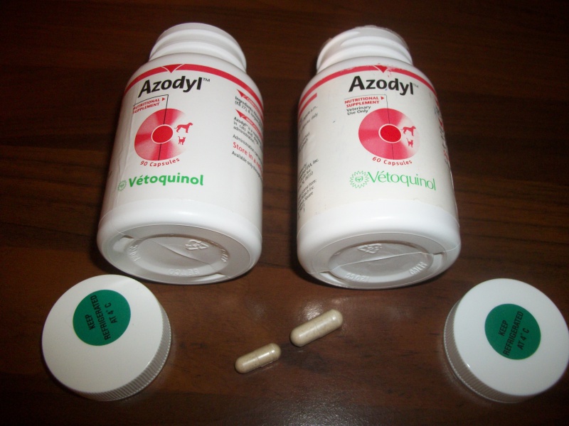 Peut on se contenter de cure d'azodyl? 1194331005737