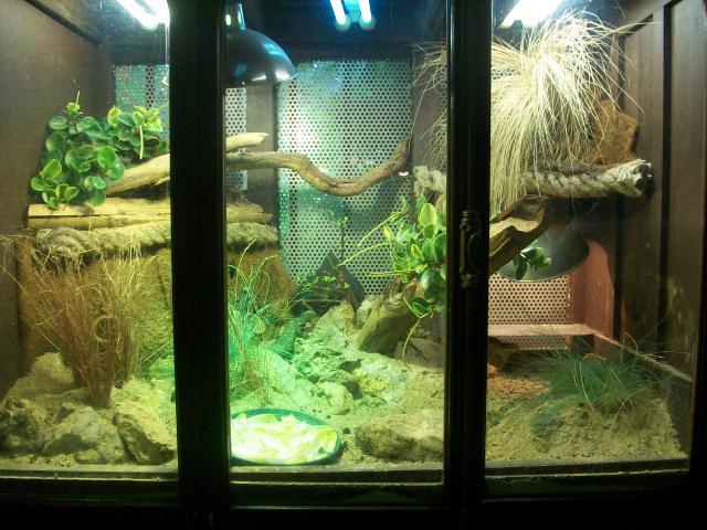 Vivarium de la ménagerie du Jardin des Plantes 1228171009793