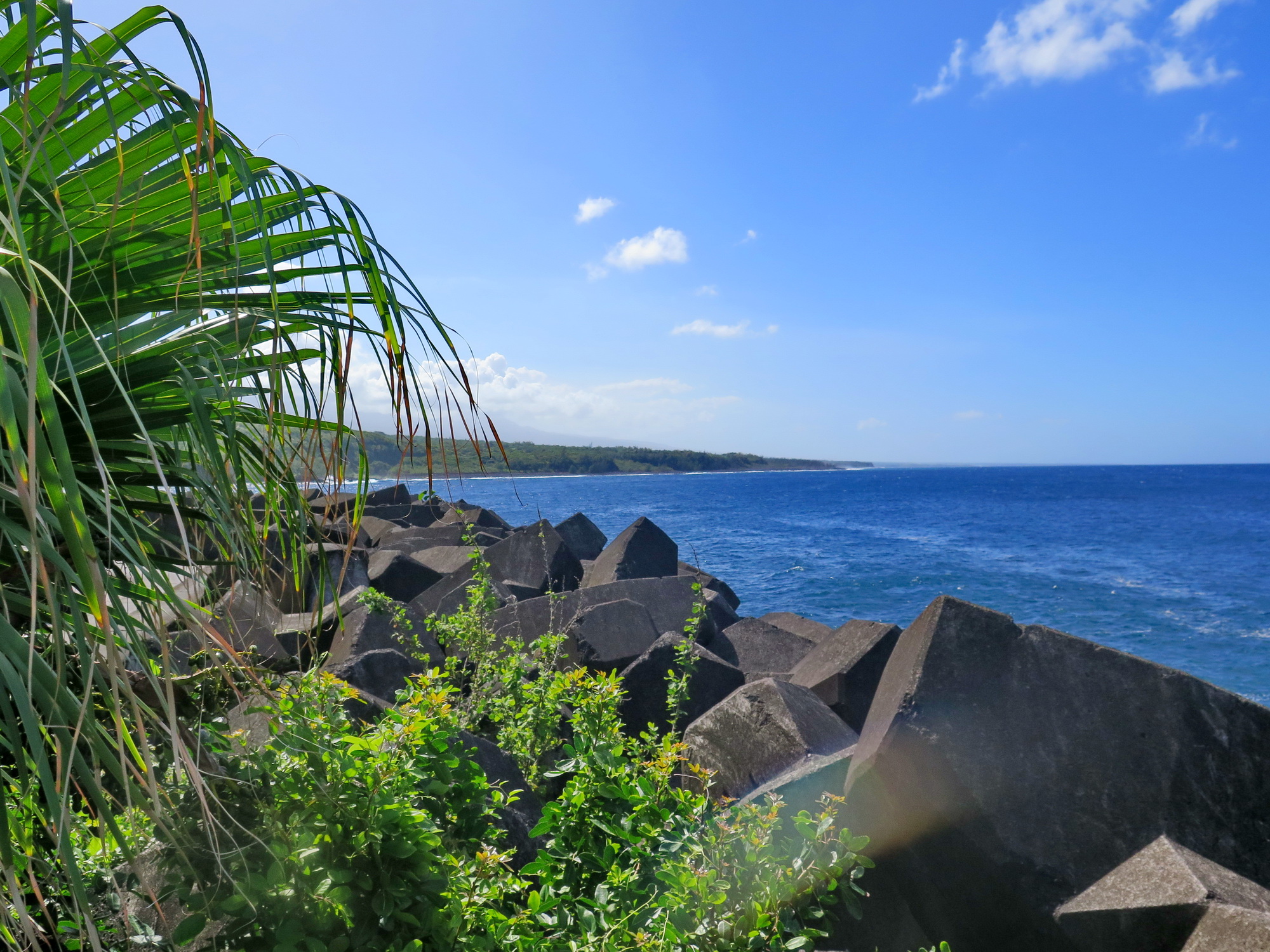  [Vie des ports] Les ports de la Réunion - Page 6 124457stjosephsterosedernierjour331