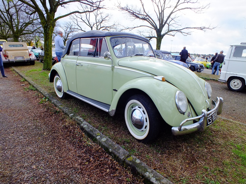 Salon de Lyon Epoqu'Auto ( France ) , édition 2016 . 128555DSCF5492