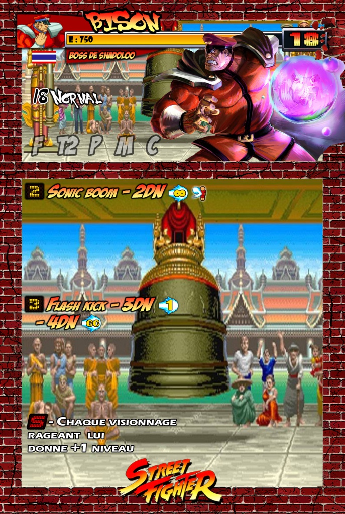 Fiches Street Fighter - Page 3 13019112Bisoncopie