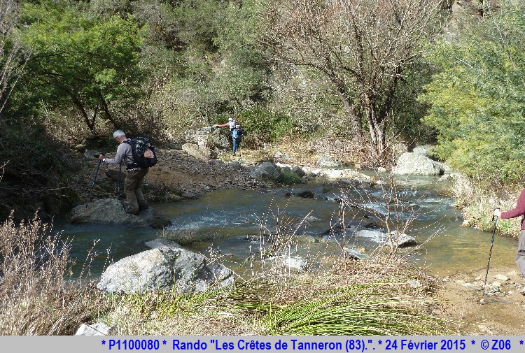 24 Février 2015 - Rando "les crêtes de Tanneron (83)"  130728P1100080