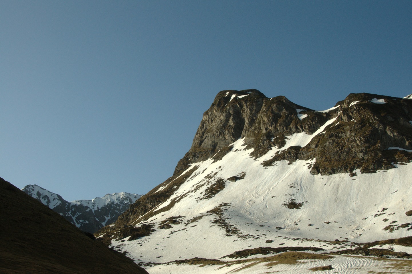 Une vie pyrénéenne de labrit des pyrénées - Page 12 131205our0130