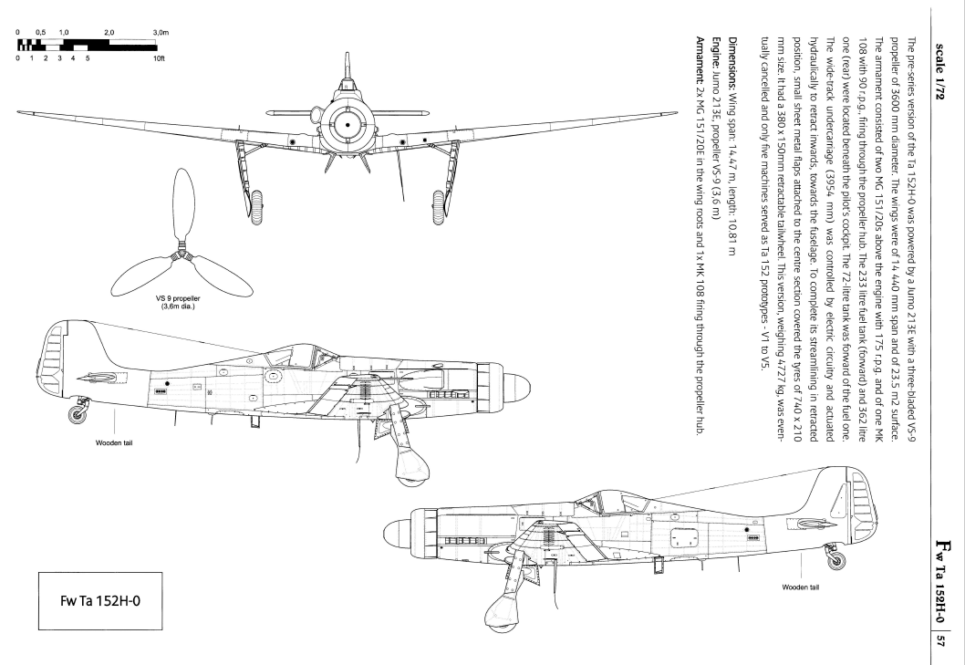 Montages en parallèle, 2 Focke Wulf Ta 152 H, Rom1 et André-François - Page 10 132136Capture