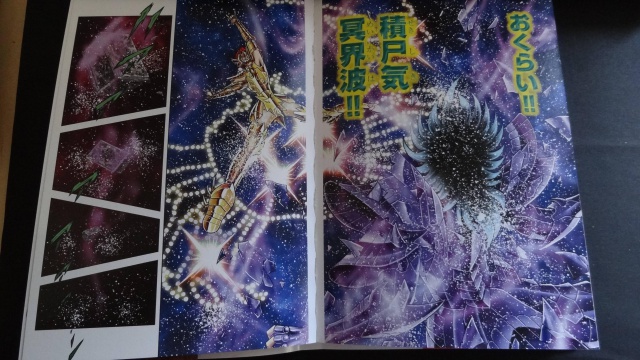 [Manga] Saint Seiya Next Dimension - Page 15 1346699701