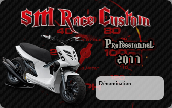 Graphique des badges SM Race Custom. 137647Cartepro