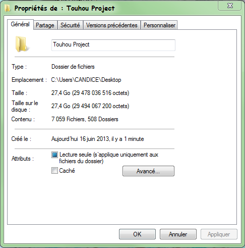 [Maybe Useless] La taille de votre dossier Touhou ! 139876Touhouprjectproprites