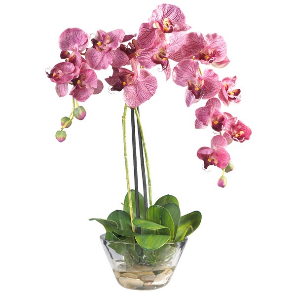 printemps-gros gif printemps-animation vent- fillette-et autres 140318orchidee