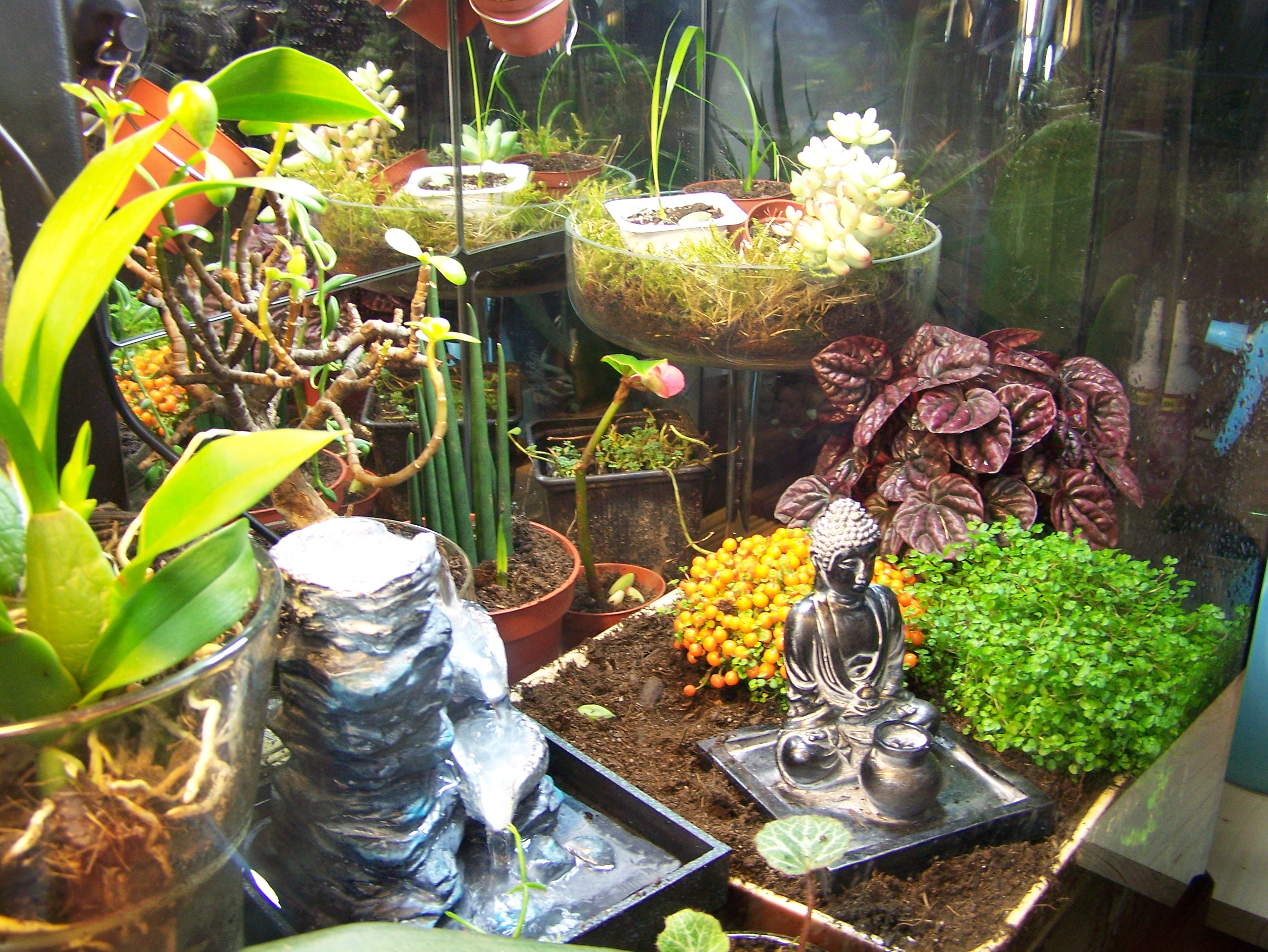 Terrarium dans un aquarium - Page 4 140415009