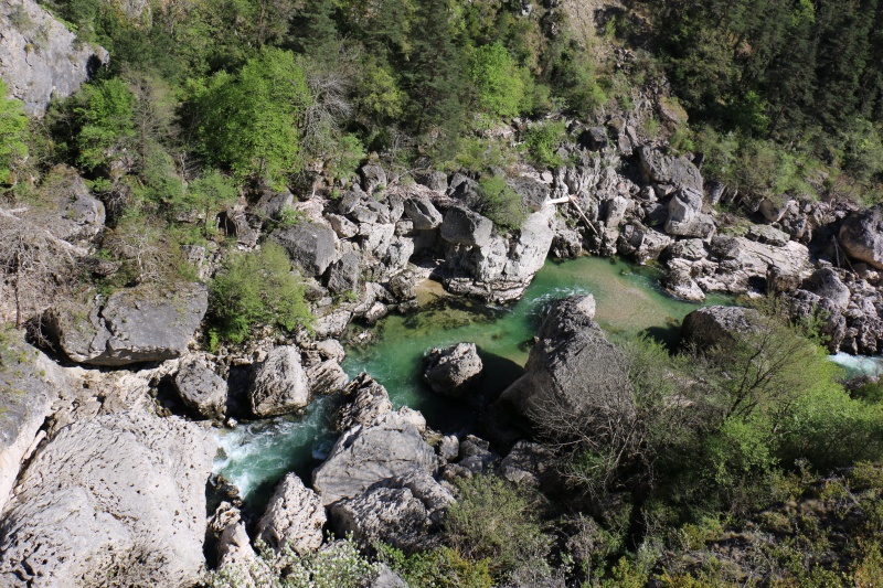 Les Cevennes autour du Mt Aigoual 140696IMG2663