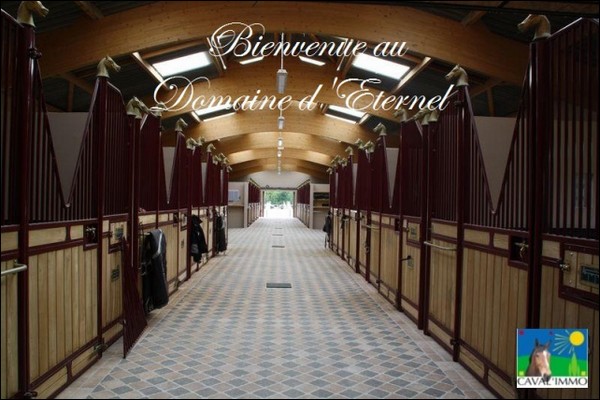 Domaine d'Éternel - - - Rhéa 141766384