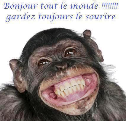 FUNNY ANIMALS 142923sourire