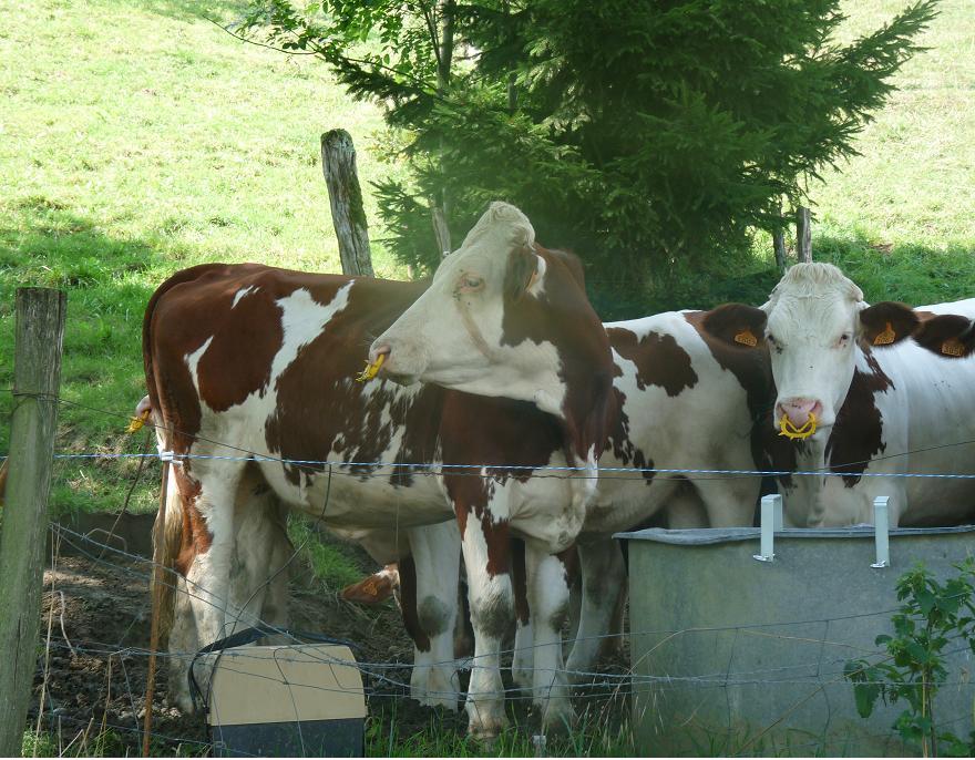 ANNECY NOUS PRIT DANS SES BRAS ..PENDANT QUE TOURS S"'EST RESSOURCE A EVIAN  147676P1100508