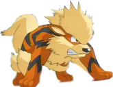 Arcanine  153731PetiteRayure