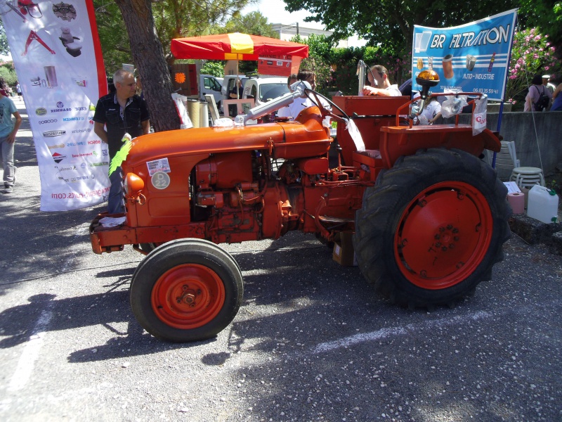 la Fête de l'Agriculture à St THEODORIT  20 et 21 Juin 2015 154358STTHEODORIT2015023