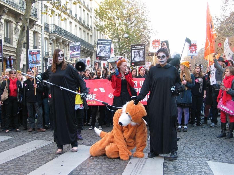 07 - Marche contre la fourrure - Paris 19 novembre 2011. 159632IMG6524
