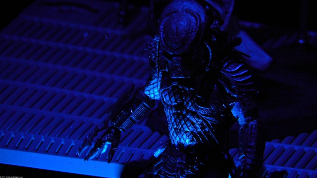 Les Predator NECA 18cm - Page 2 159782Image4