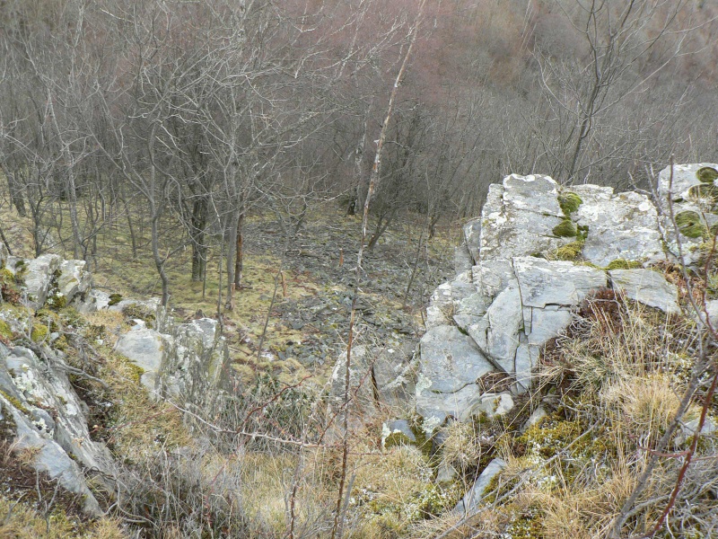  [Du 30 Mai au 1er Juin 2014] à Prats de Mollo "OP Aigles et Loups "  162801P1110077