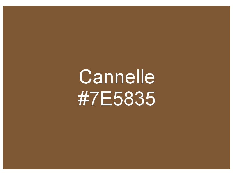 Champ chromatique brun 164847Bruncannelle