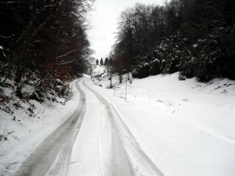 A la conquete du Madrès avec max 15 participants !!!!!!!!!!!!!!! - Page 14 165042SDC18659