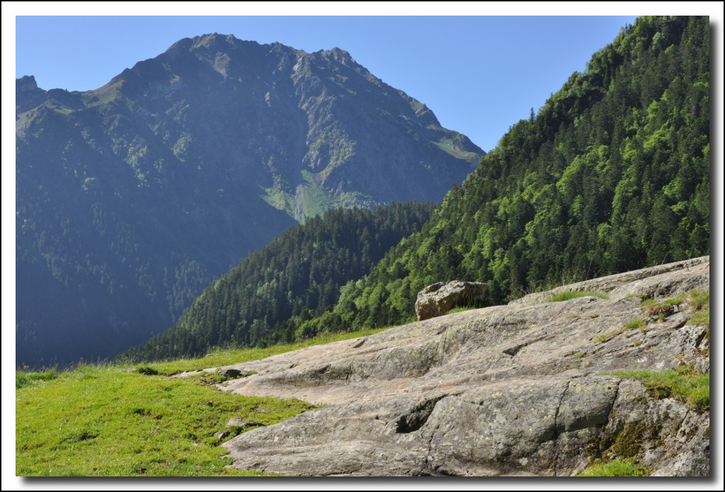 Une vie pyrénéenne de labrit des pyrénées - Page 6 168767arr0351