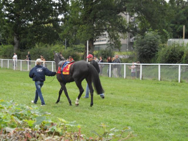 Tiercé à l'hippodrome d'Aurillac 175963SAM0151