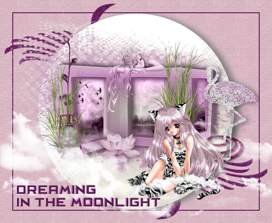 DREAMING IN THE MOON 1760031128